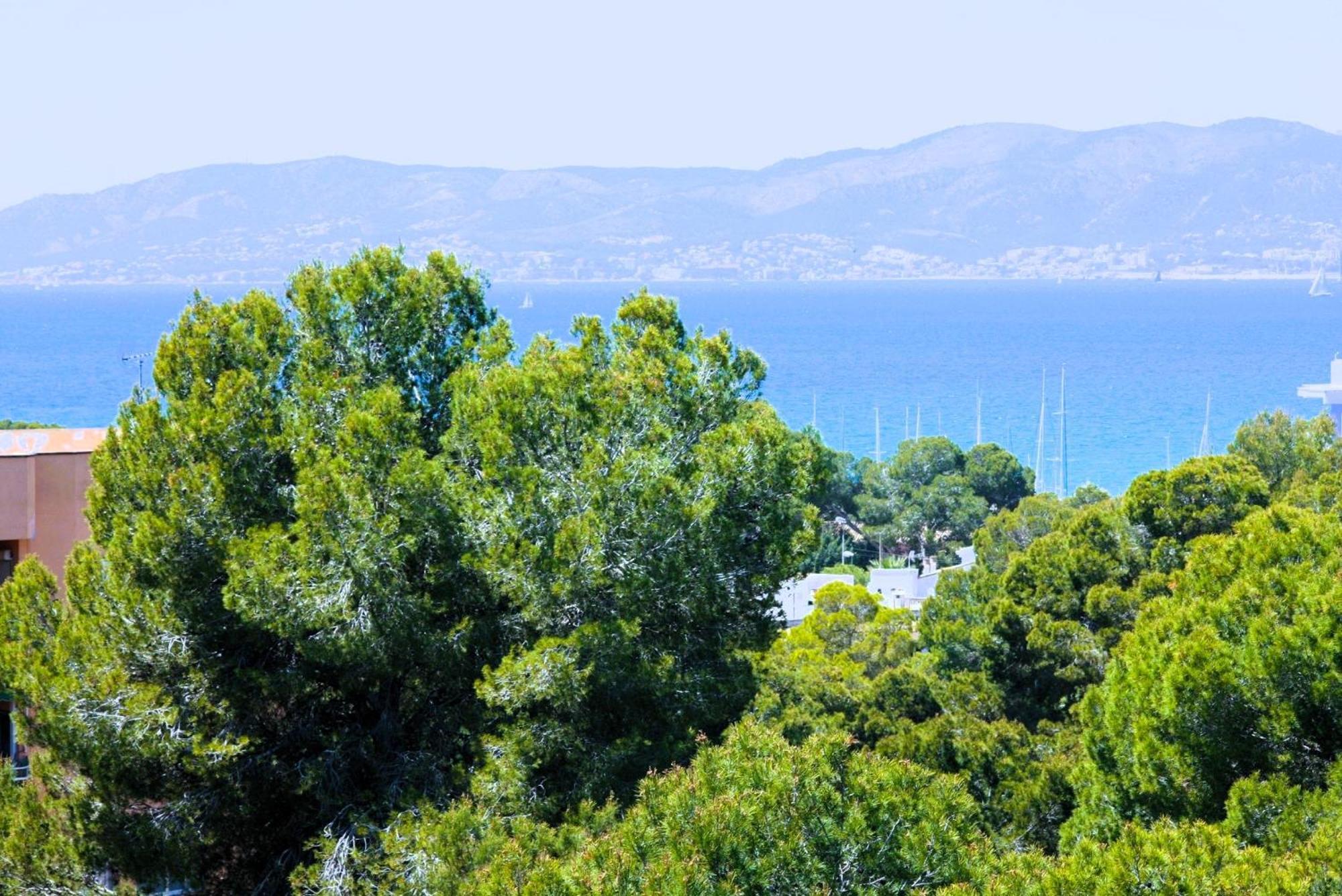 Welikehotel Fenix Ελ Αρενάλ Εξωτερικό φωτογραφία